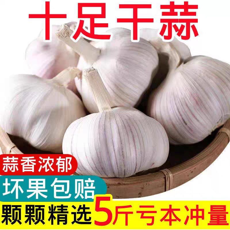 【带箱5.3斤】2025年干蒜干大蒜紫白皮大蒜5斤一箱C1