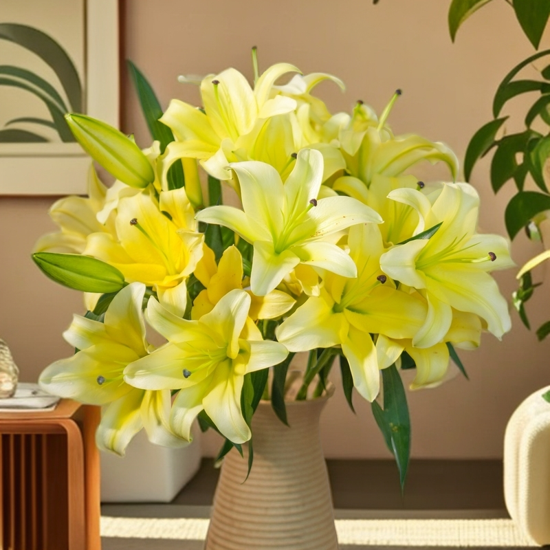 云南木木花卉黄天霸香水百合花 大花型浓香型大气日常瓶插礼品