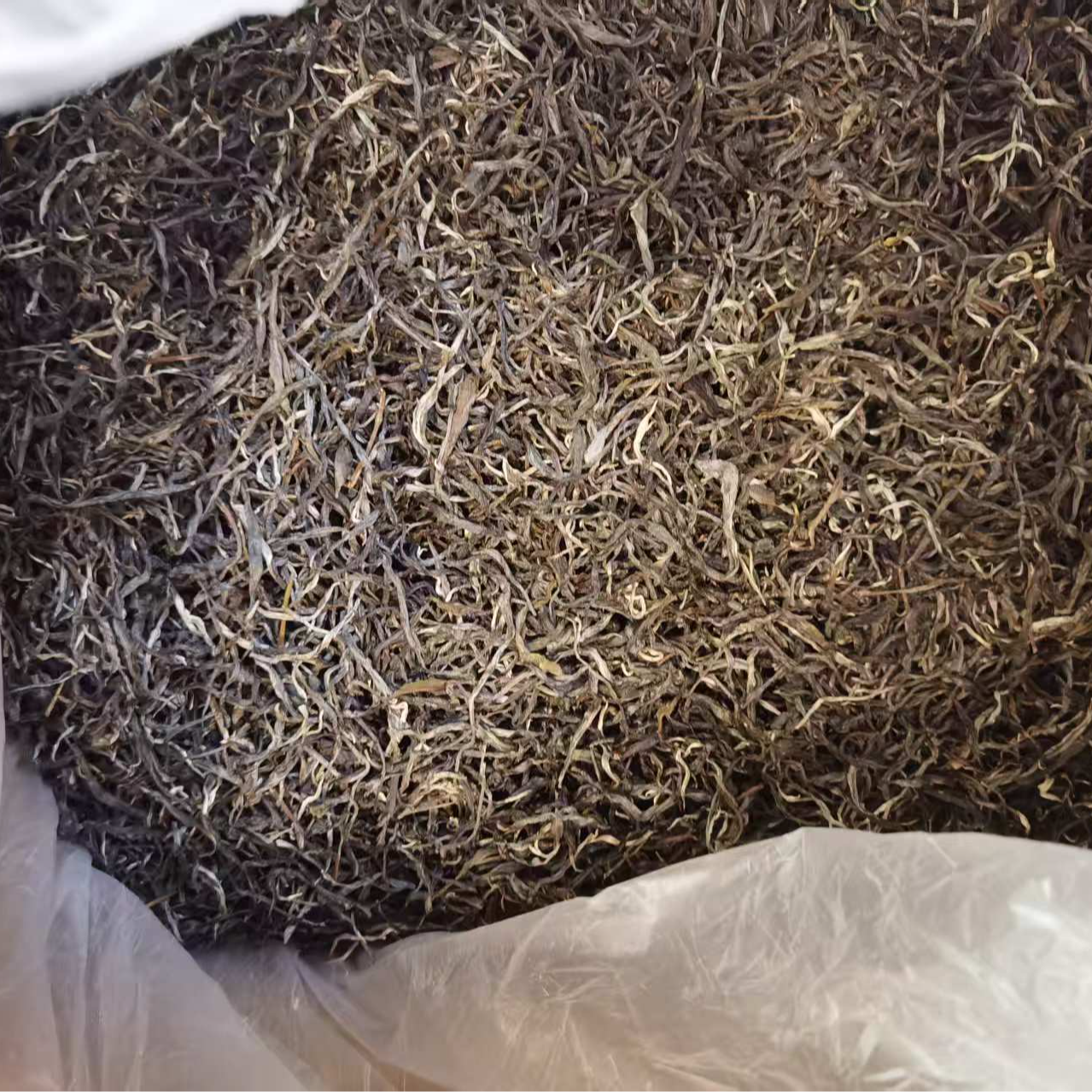 福韵来2025年薄荷塘100g生茶散茶