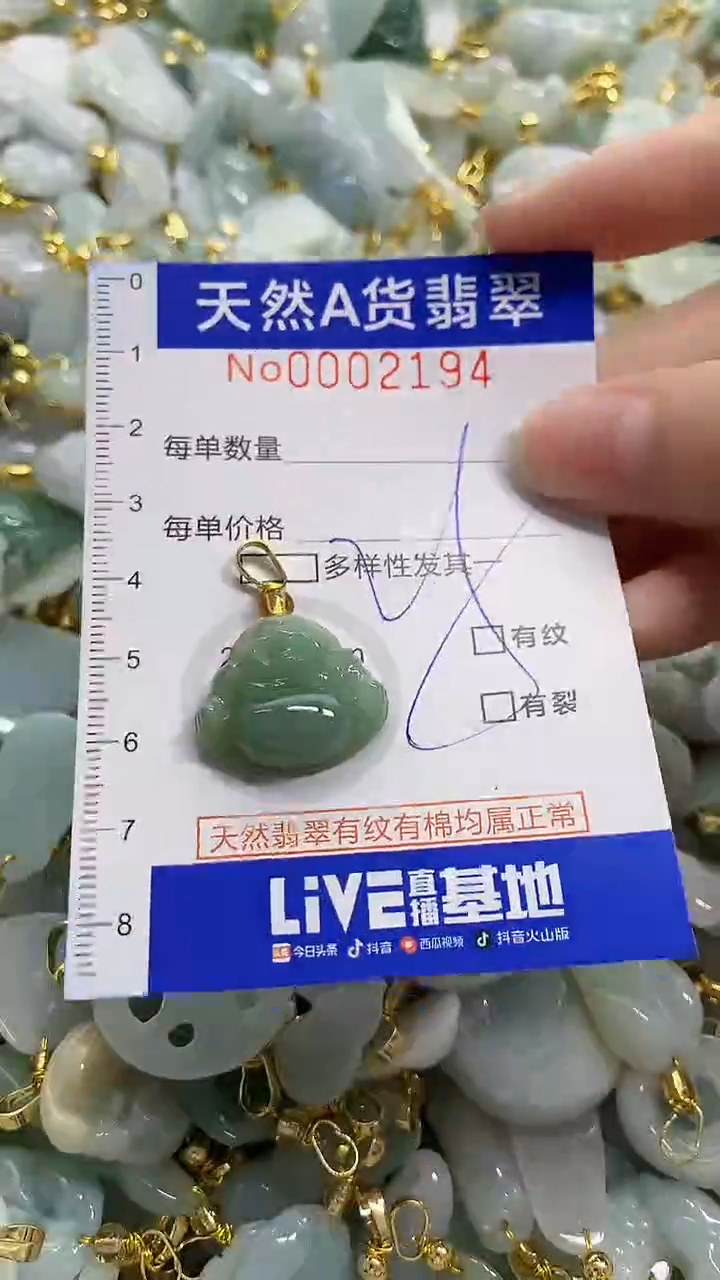 颈饰未镶嵌翡翠天然A货翡翠