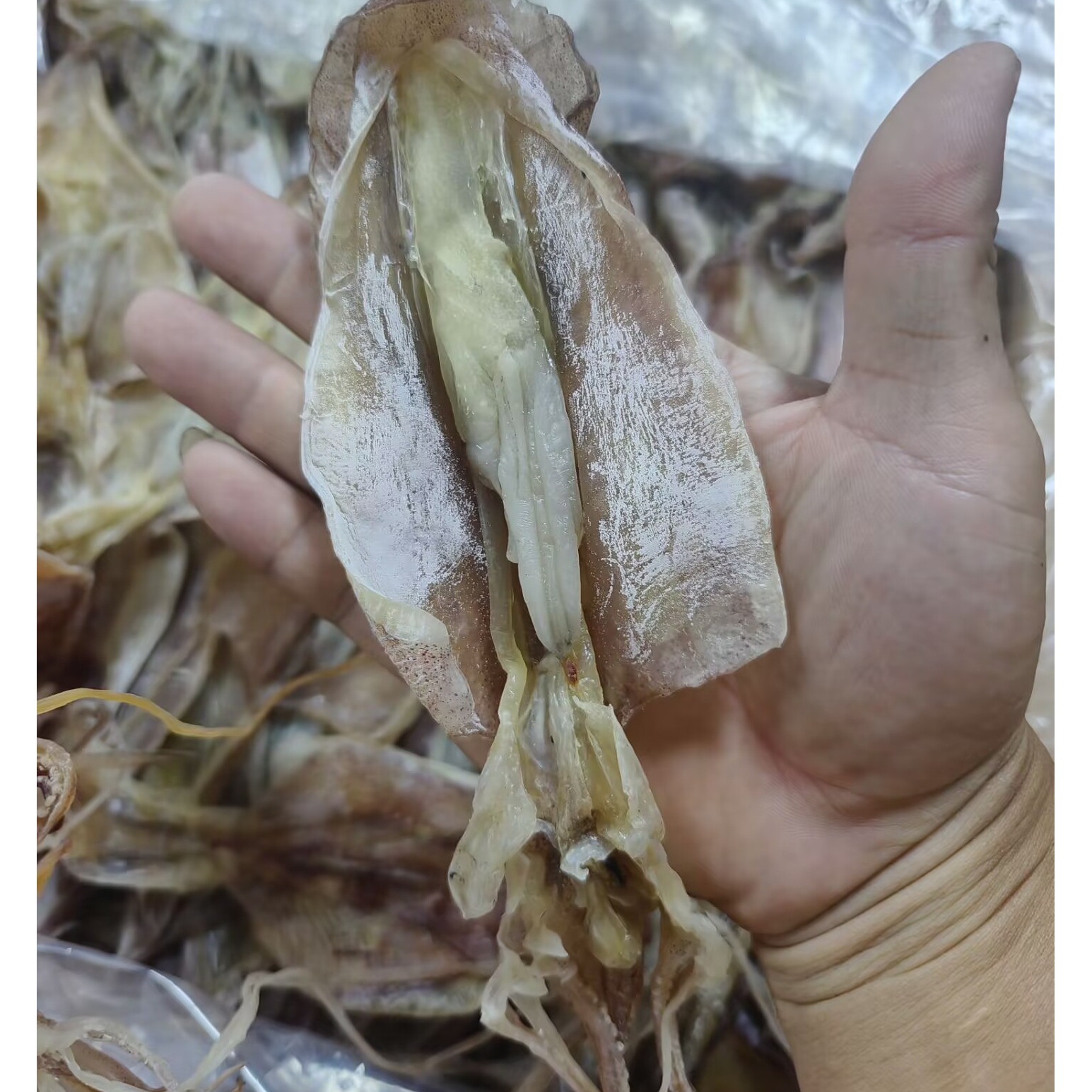 @东山岛鱿鱼母干货