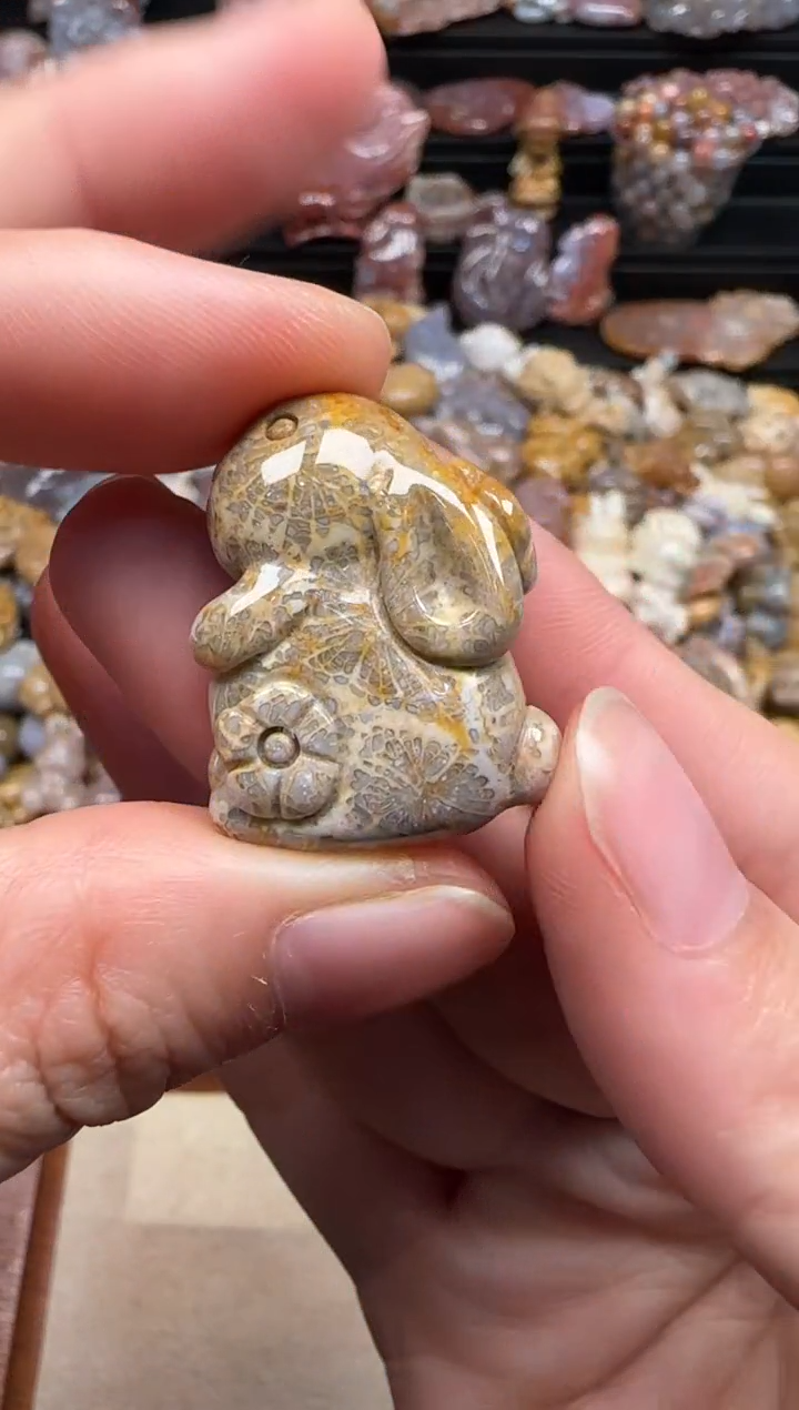 【闪购商品】硅化珊瑚（珊瑚玉）颈饰未镶嵌229