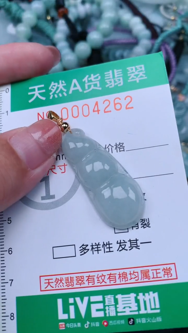 翡翠未镶嵌颈饰.0004262