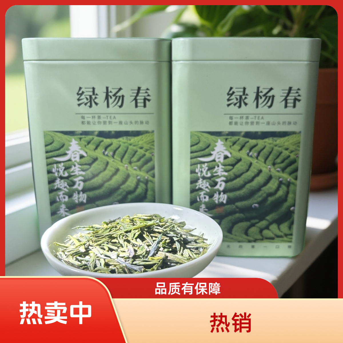 绿杨春2025年扬州特产明后一级口粮茶