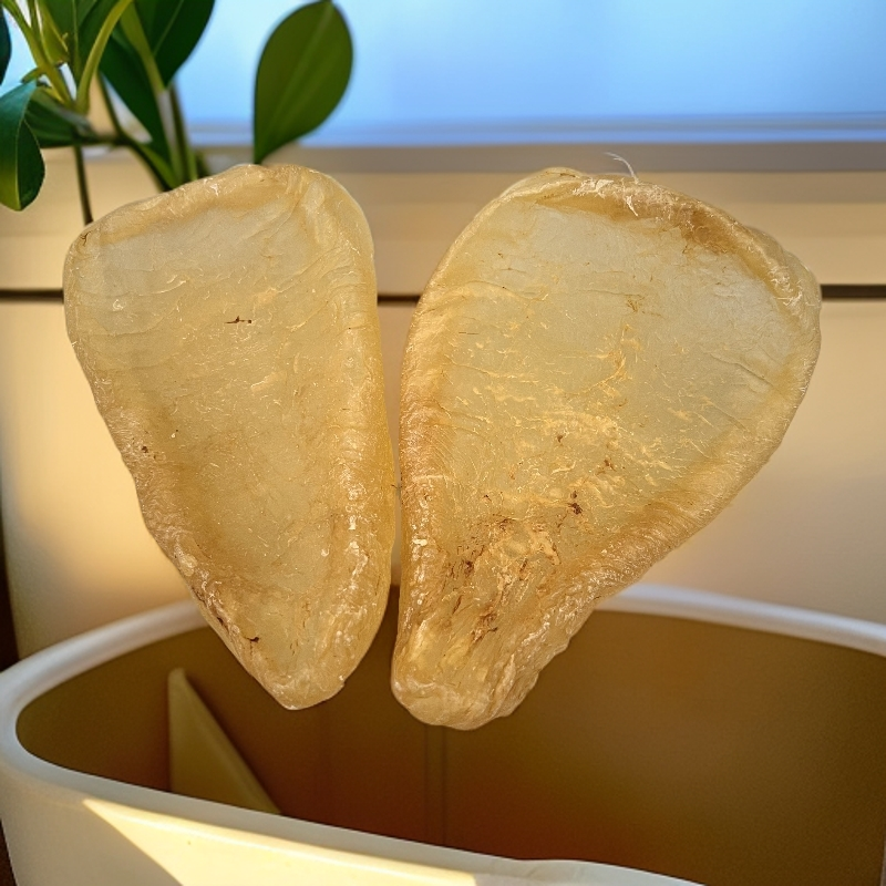 广东鱼胶 斗湖胶1-500克