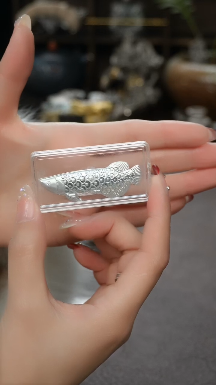 【闪购商品】银龙鱼煮水银片茶周边