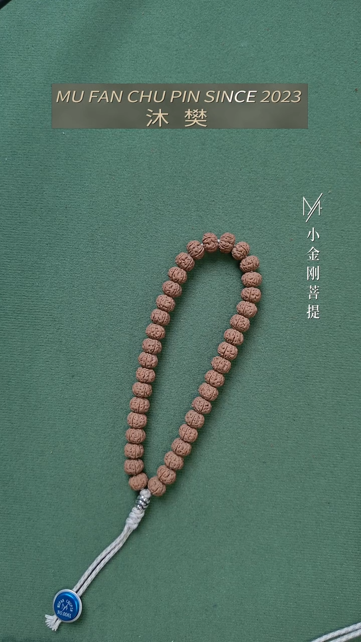 【闪购商品】金刚菩提吊坠一档树王手持