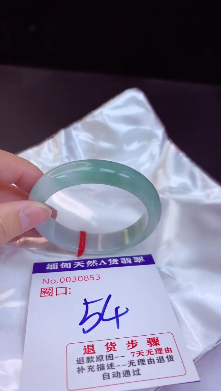 【闪购商品】翡翠手镯未镶嵌54+             