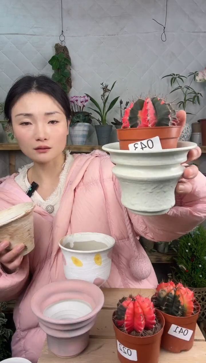 无花朵牡丹锦加盆一套043