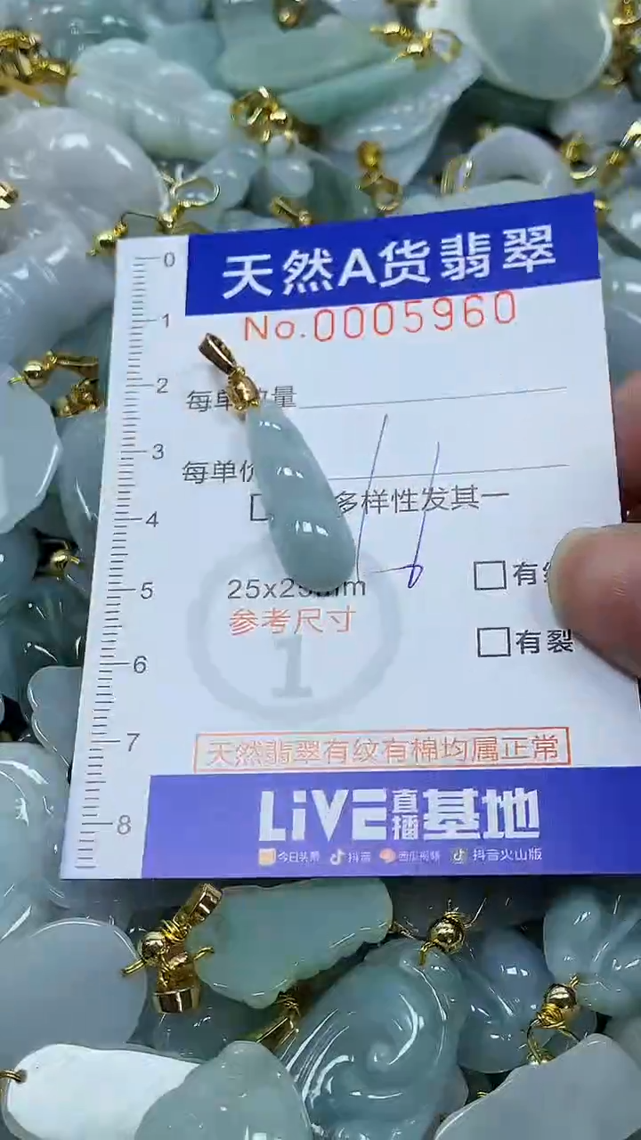 颈饰未镶嵌翡翠纯天然a货翡翠