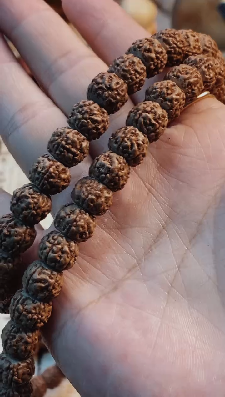 【闪购商品】金刚菩提手串395藏式一代龙+钢丝刷