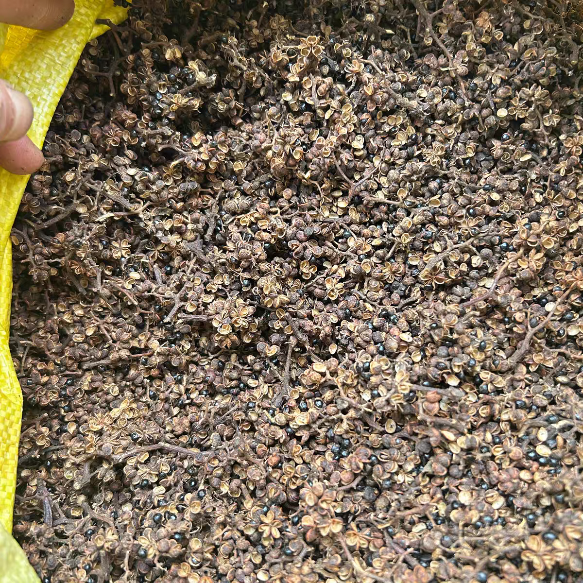 【村长推荐】高桥特色带籽干花椒干货包邮