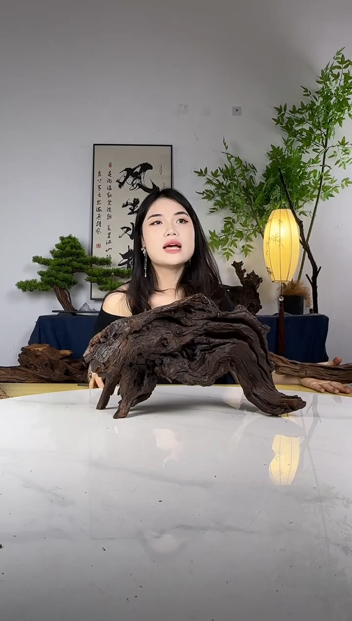 初**恒拍这个定向编号92