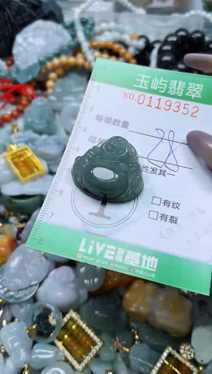 翡翠未镶嵌颈饰闪购0119352