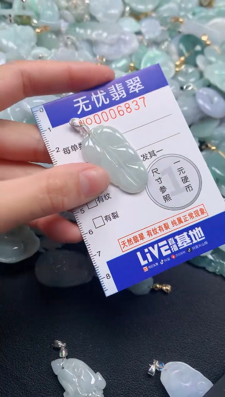 颈饰未镶嵌翡翠6837