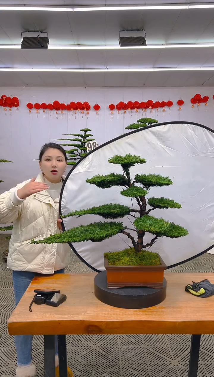 【闪购商品】盆景1