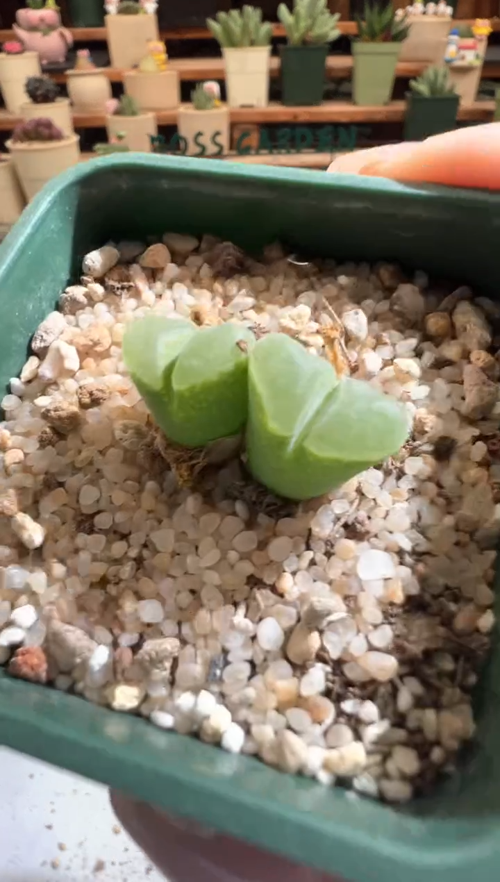 934..................