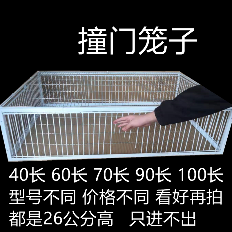 天落笼鸽笼只进不出鸽子笼鸽子活络撞门笼自动收鸽鸽子笼鸽子神器