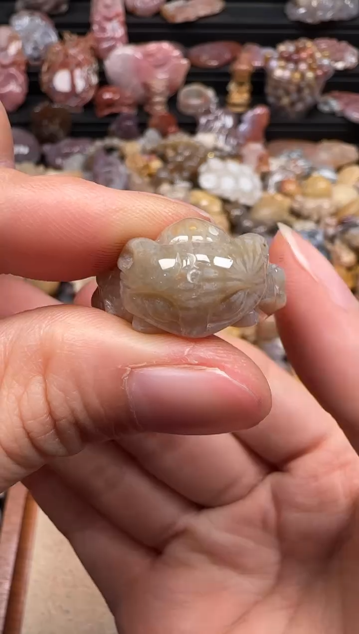 【闪购商品】硅化珊瑚（珊瑚玉）颈饰未镶嵌260