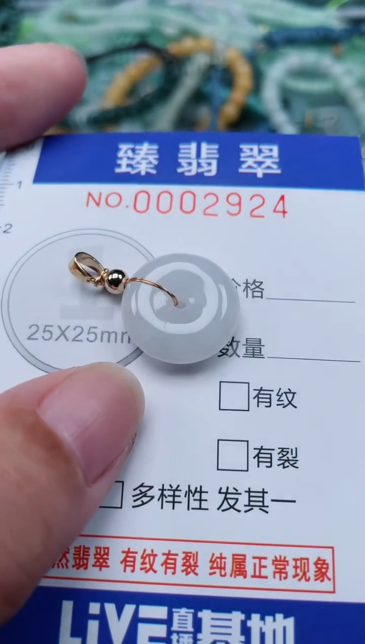 翡翠未镶嵌颈饰.0002924