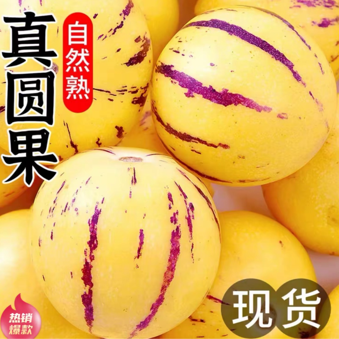 云南人参果自然成熟新鲜采摘黄果当季水果甄选