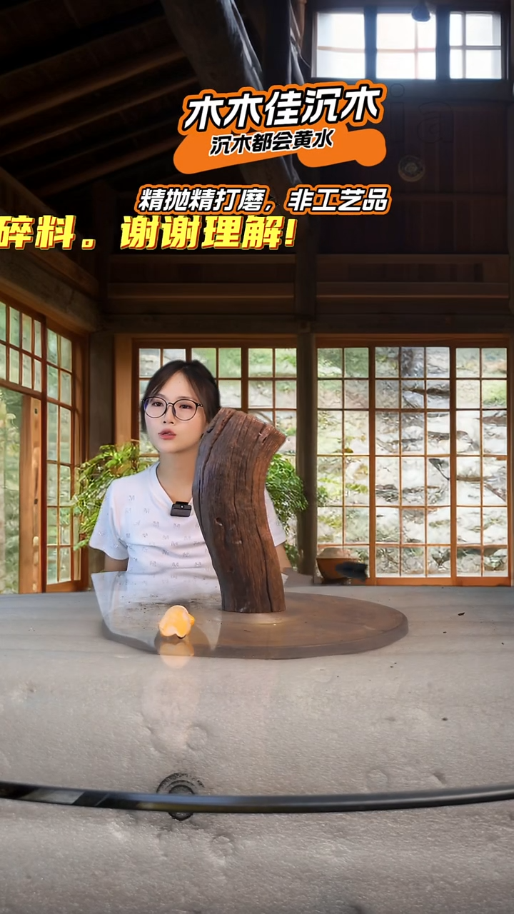 L*木木佳鱼缸沉木造景420