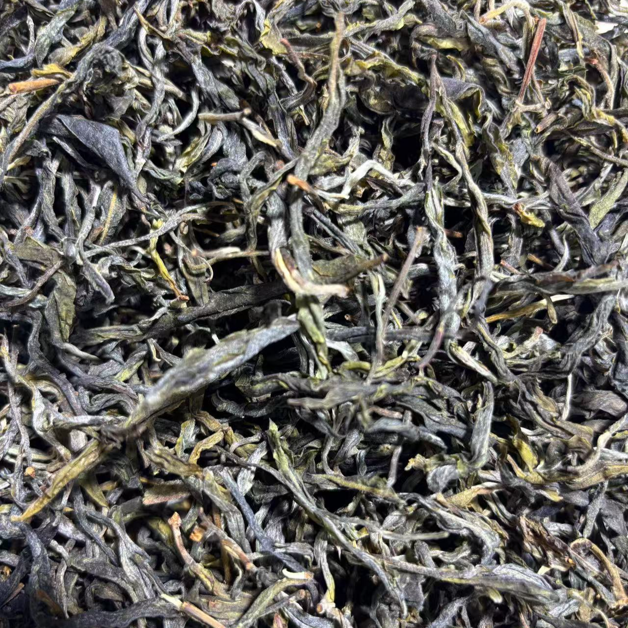 2025年头春冰岛地界古树普洱生普散茶100克5月25日-【13号品】