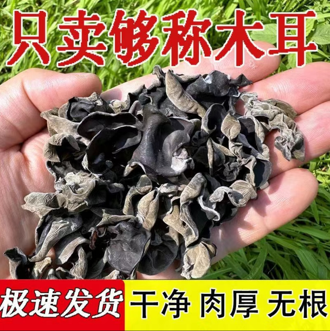  高泡发黑木耳干货无硫无杂免洗厚肉家常热炒凉拌火锅新采土特产