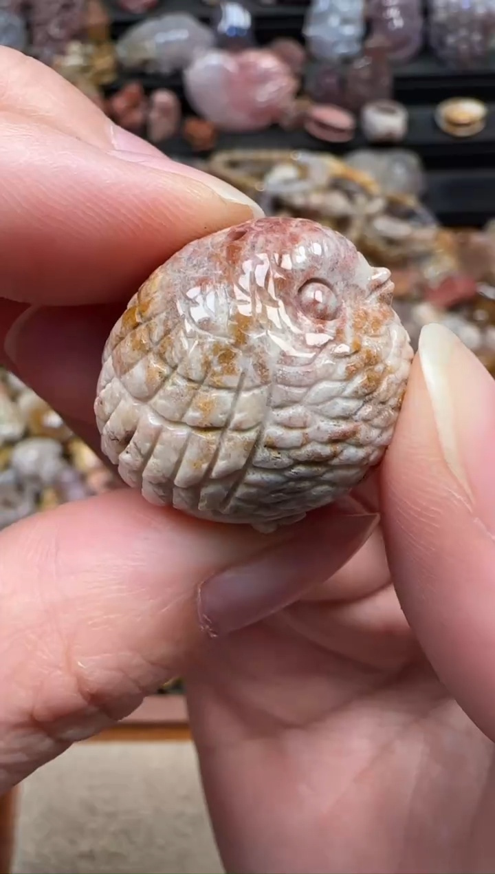 颈饰未镶嵌硅化珊瑚（珊瑚玉）516