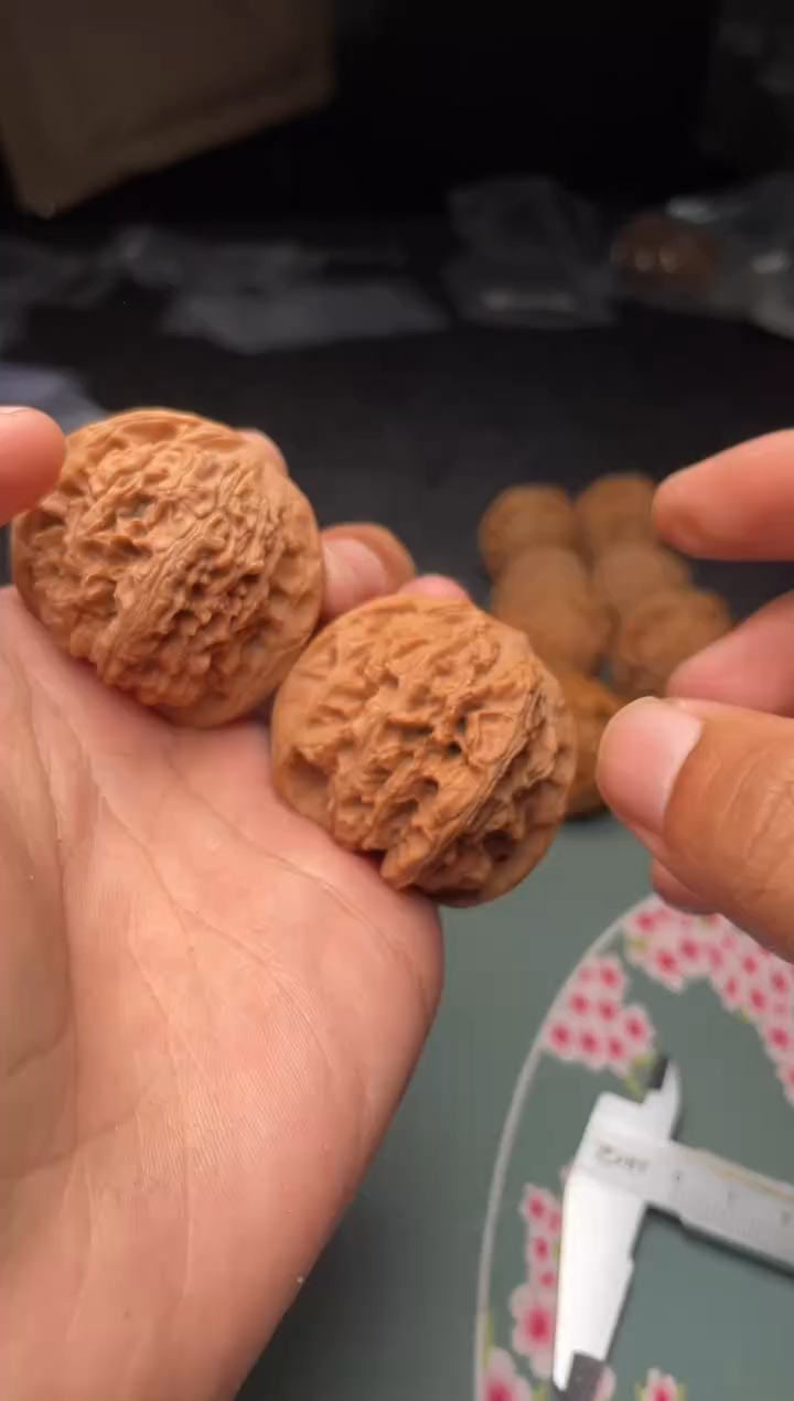 核桃a225   龙洞玉   42尺