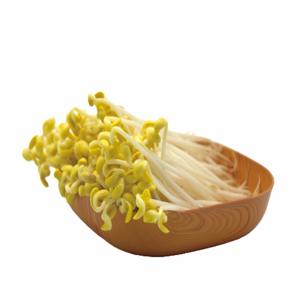 黄豆芽 350g