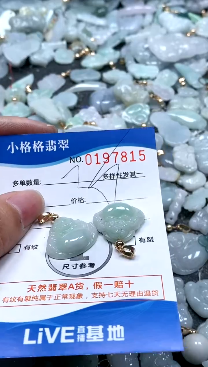 【闪购商品】翡翠颈饰未镶嵌闪购商品0197815