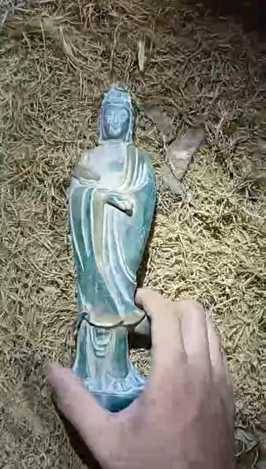 香榧木1个小小雨链接1号