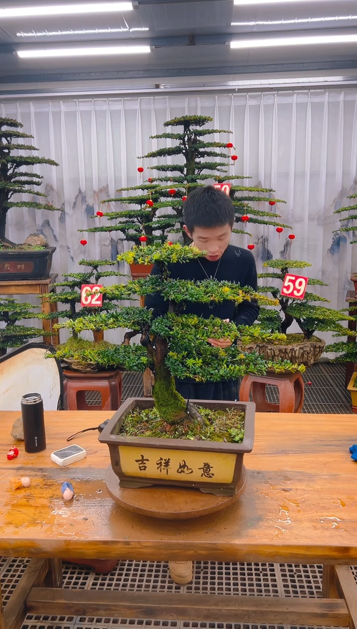 【闪购商品】紫砂精品盆景直播间一物一拍