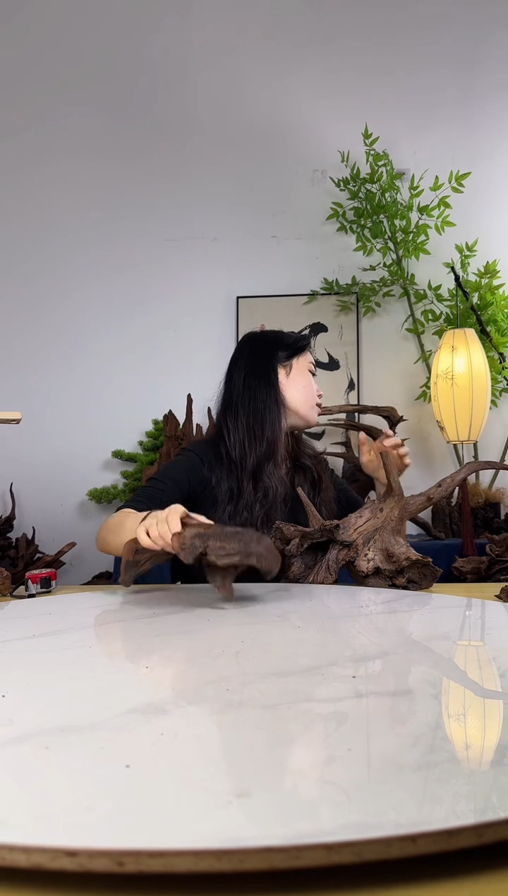 偌**?拍沉木定向链接编号54