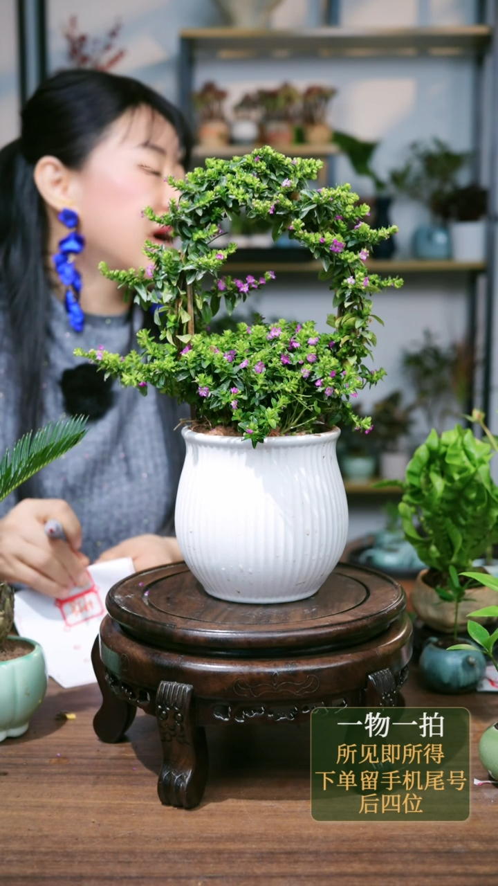 【闪购商品】38---7123满天星白