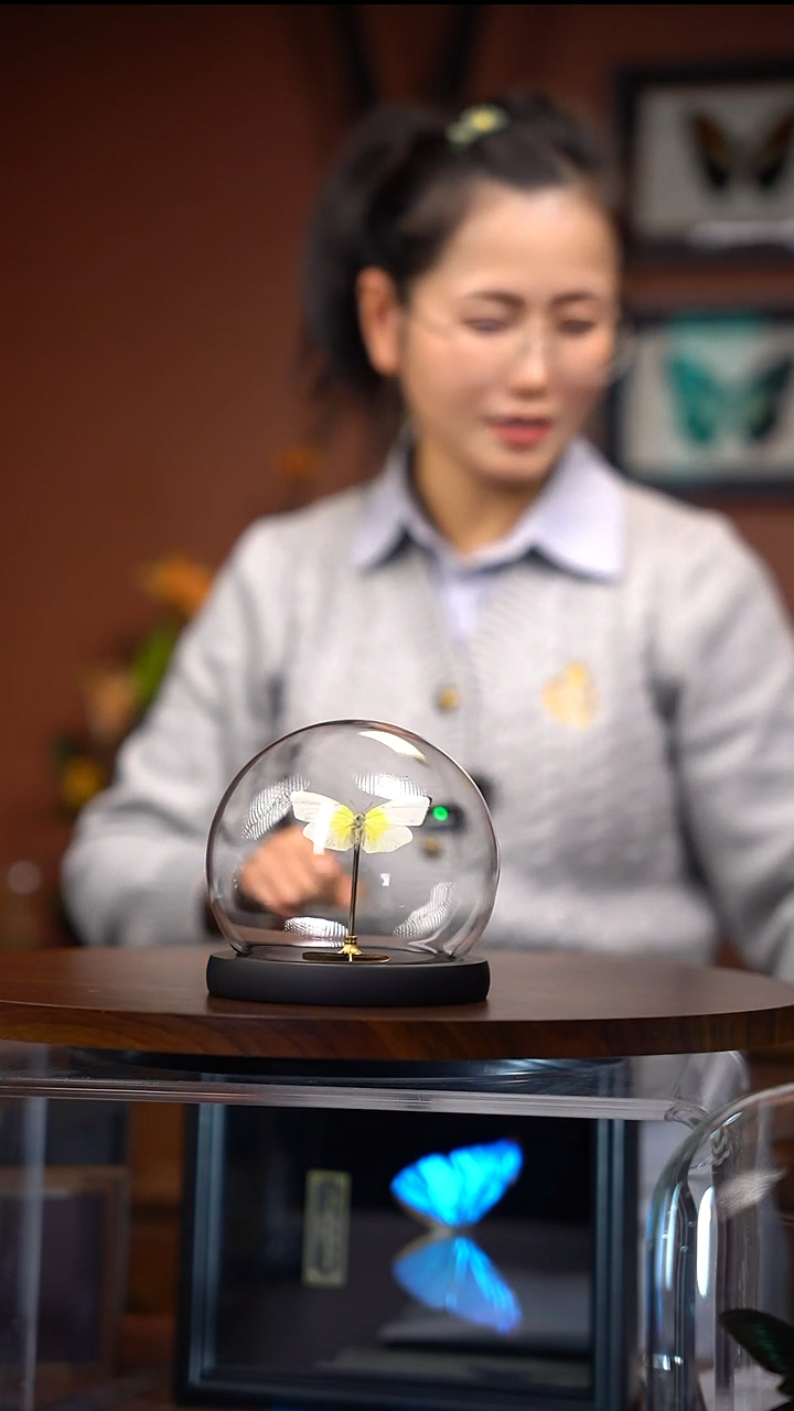 N16.3   迁粉蝶  玻璃球款
