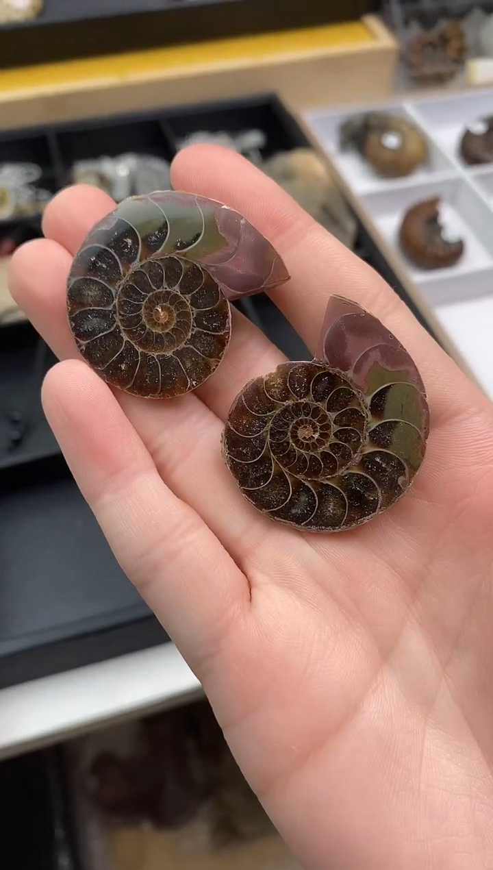 精美摆件创意礼物家居配饰新年礼物个人收藏