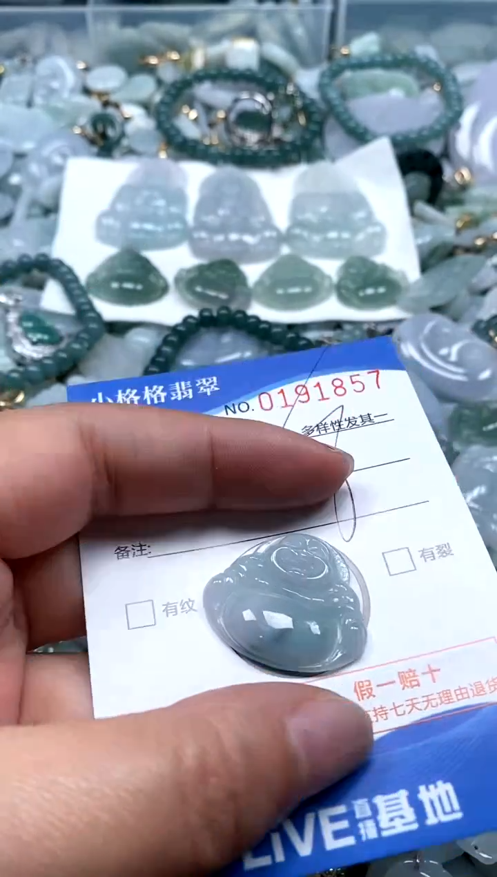 【闪购商品】翡翠颈饰未镶嵌闪购商品0191857