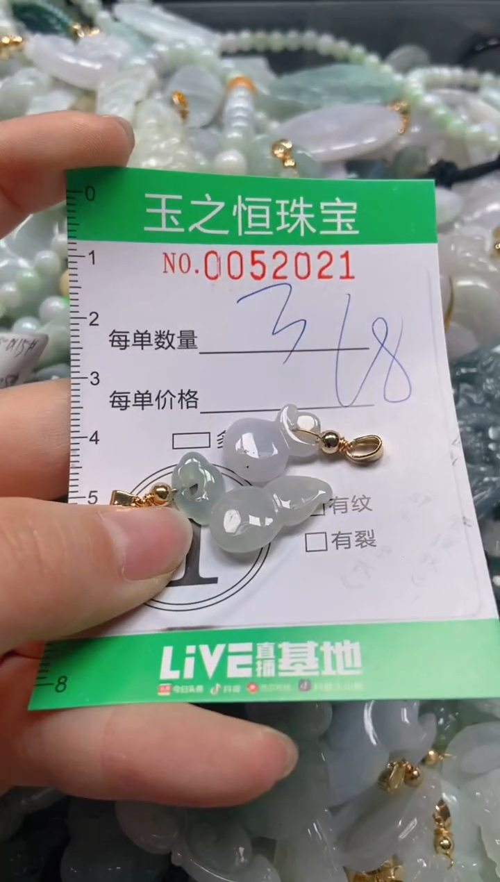【闪购商品】翡翠颈饰未镶嵌闪购0052021