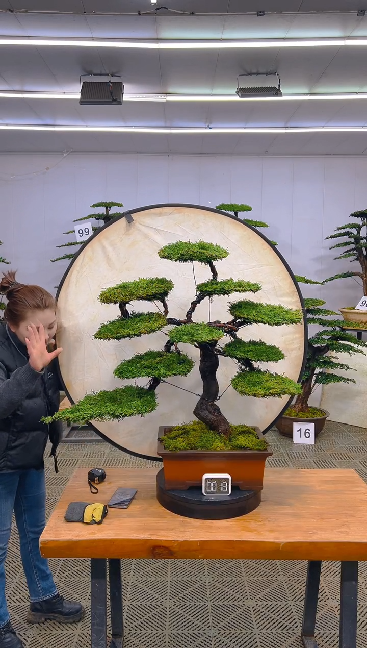 无花朵一物一拍一物一拍