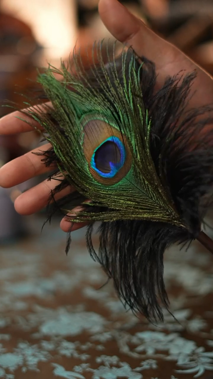 【闪购商品】紫竹拂尘紫竹拂尘