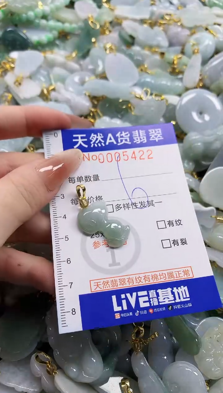 颈饰未镶嵌翡翠天然A货翡翠