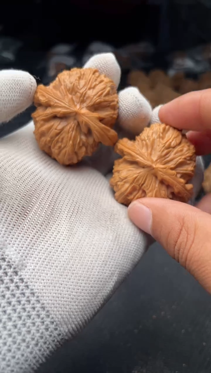核桃a183  白狮子 43尺