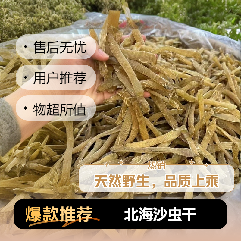 北海沙虫干特产海鲜干货天然原色煲汤煲粥美味鲜足干广西北海趴地