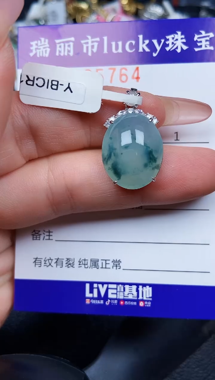 翡翠银S925镶嵌颈饰5764