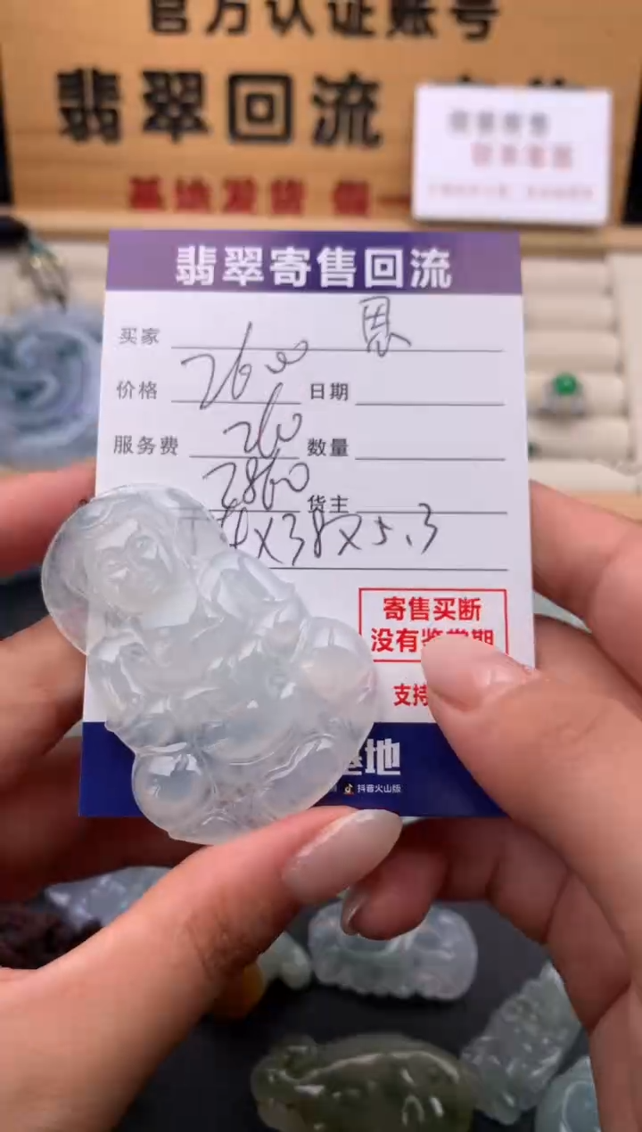 翡翠未镶嵌颈饰10134090