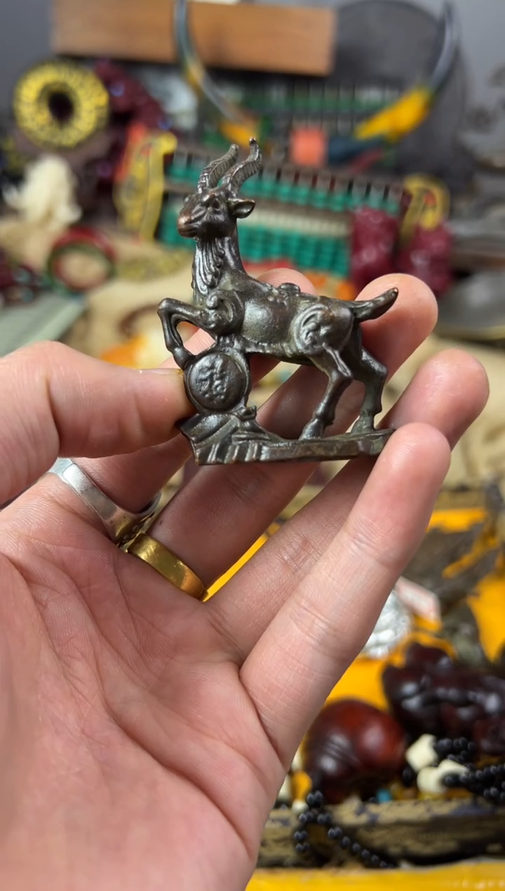 【闪购商品】主播推荐主播推荐