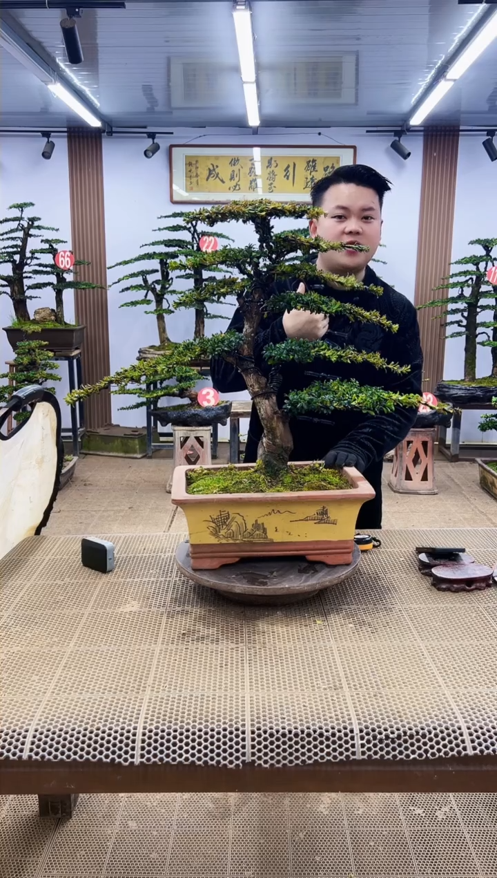 【闪购商品】00000000