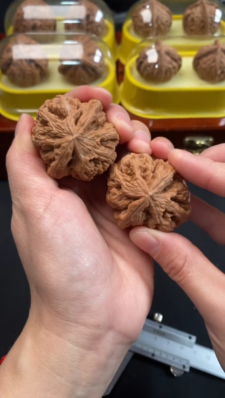 把件文玩核桃大粗筋42尺c818